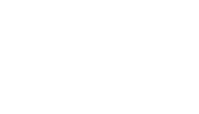 Vizio